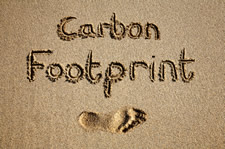 How Big Are Your Feet? Use the Ecological Footprint Calculator from Refinding Progress to find out.