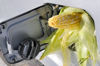EPA refuses Texas request to waive federal ethanol mandates