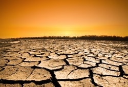 desert_drought.jpg
