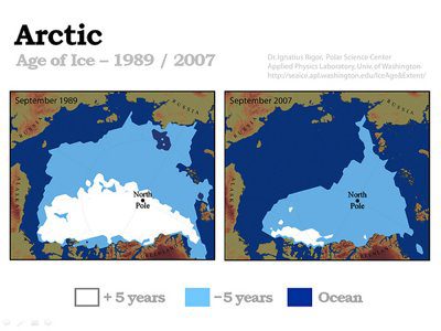 This image shows the decline in mature ice cover (old ice vs. young ice)