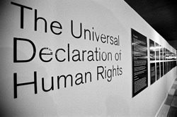 The Univsersal Declaration of Human Rights