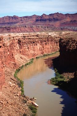 Environmental leaders fear that uranium mining near the Grand Canyon could lead to the release of radioactivity and heavy metals like selenium into the Colorado River and its watershed, including within Grand Canyon National Park