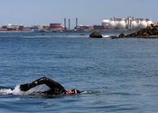 Swain swims through toxic waters