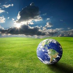 Moving the fight to curb global warming to individual and the private sector