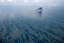 Does oil linger on the Gulf's sea floor in the aftermath of the BP oil spill?