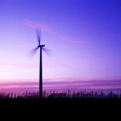 Wind energy saw the largest growth in 2010